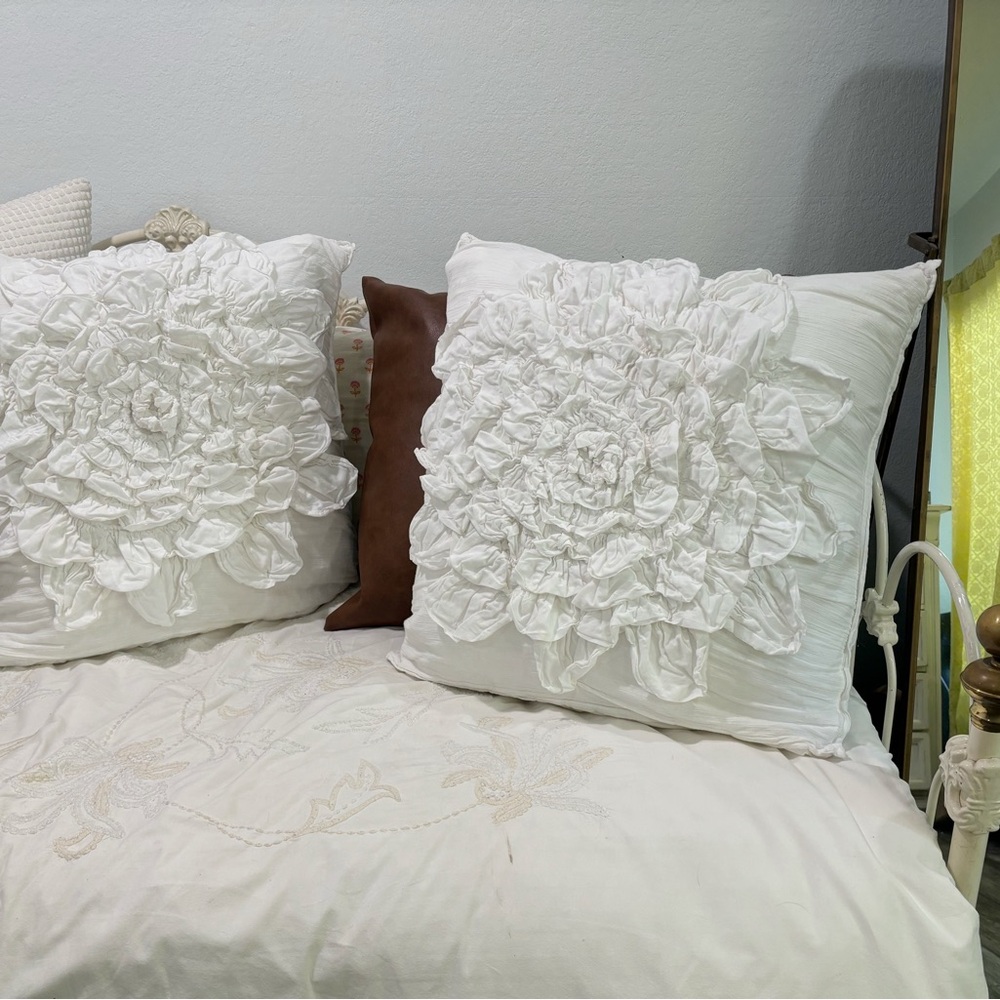 Anthropologie Georgina euro sham set